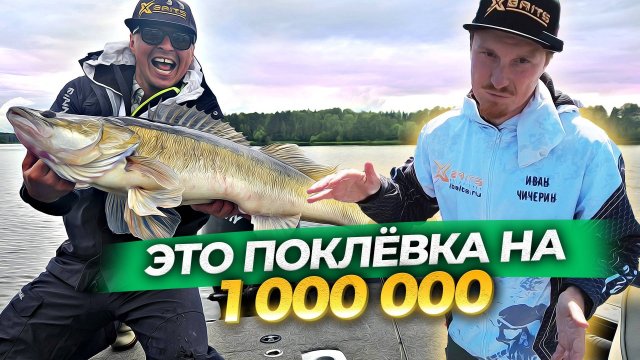 Такие поклёвки бывают раз в сезон! Угличский судачина.
