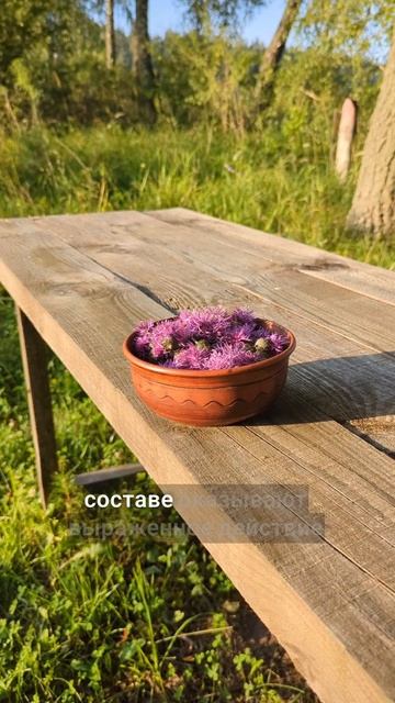 от описторхоза и для печени