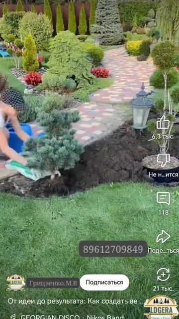 От идеи до результата 🏡Как создать садовую композицию 🎋