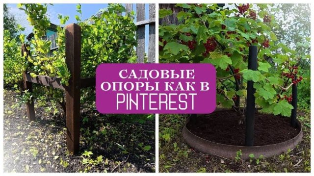 Ухаживаю за ягодником + делаю опоры своими руками  Садовый уход на даче за крыжовником и смородиной