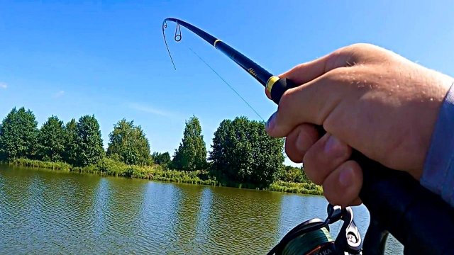 СВИНОФИДЕР в мутной ВОДЕ! Рыбалка 3 в 1