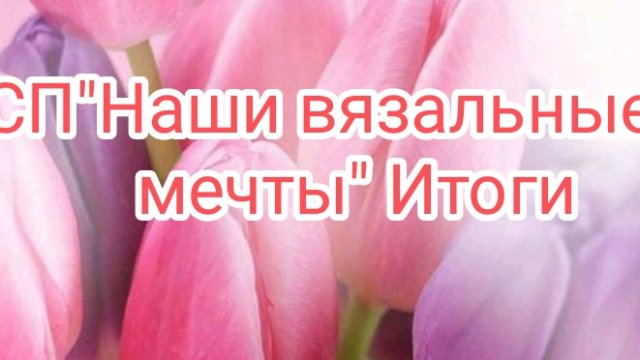 СП"Наши вязальные мечты".Итоги.