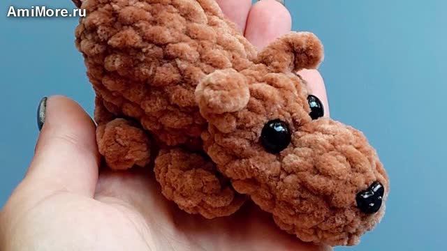 Амигуруми: схема Дружок | Игрушки вязаные крючком