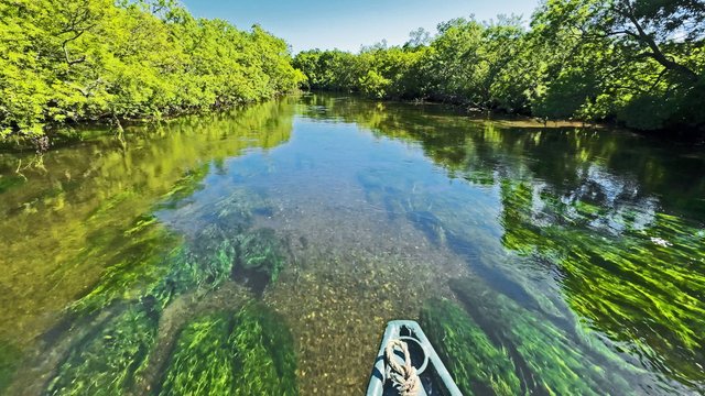 РАЙ РЫБАКА - КАМЧАТКА. ВОДА КИПИТ ОТ КРАСНОЙ РЫБЫ. Рыбалка. Медведи. Люди