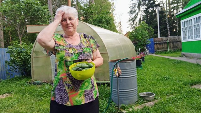 "Жизнь на пенсии".. Хроника дня - 30.07.25