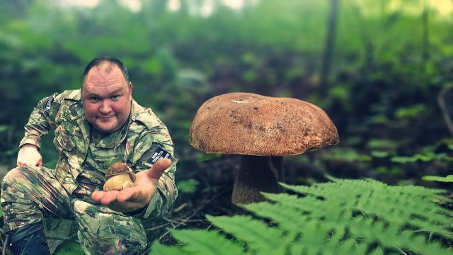 В поисках грибов!Съедобные грибы.Грибному супу-БЫТЬ!Грибы 2025.
