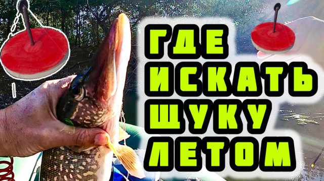 Щука на кружки летом. Где и как лучше ставить кружки на щуку. Рыбалка на живца