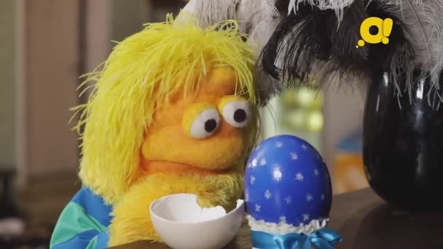 Экскурсия на страусиную ферму вместе с Геком из программы "ТриО!"