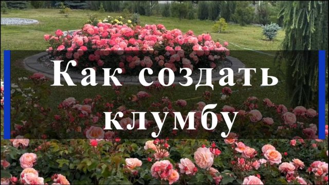 Как создать клумбу.