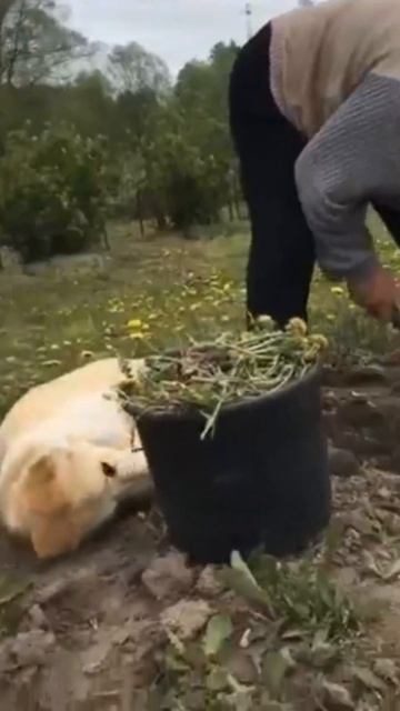 Удивительные животные !!!