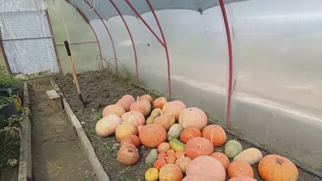 Улучшили сарай👍 Купили бочки🌱 Купаемся🏊♀️ Курочки растут🐥🐔Дом в станице🏠