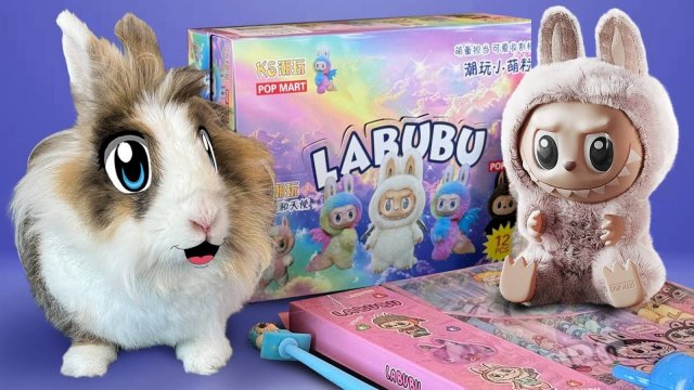 БОЛЬШАЯ распаковка ЛАБУБУ! СЕКРЕТНАЯ LABUBU А ну-ка Давай-ка ? Опять в школу