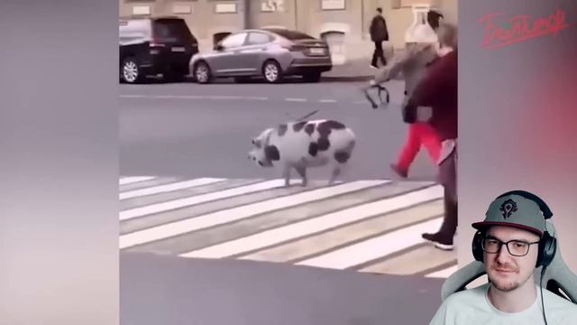 ЗАСМЕЯЛСЯ - ПРОИГРАЛ ► ЛУЧШИЕ ПРИКОЛЫ ( УЛЫБНУЛИСЬ ПРОИГРАЛИ ) | Реакция