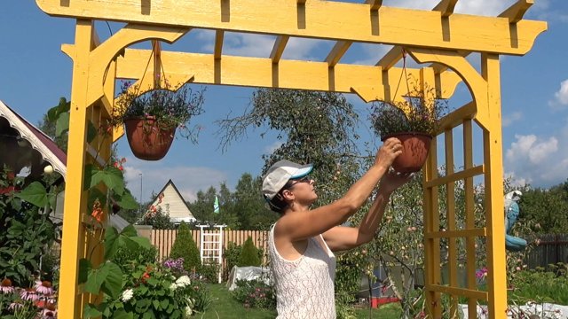 6 соток 30 июля 2025 года. 1 часть