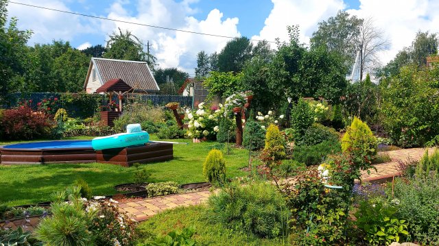 Любимая дача в перерывах между дождями🌦🌸🌲