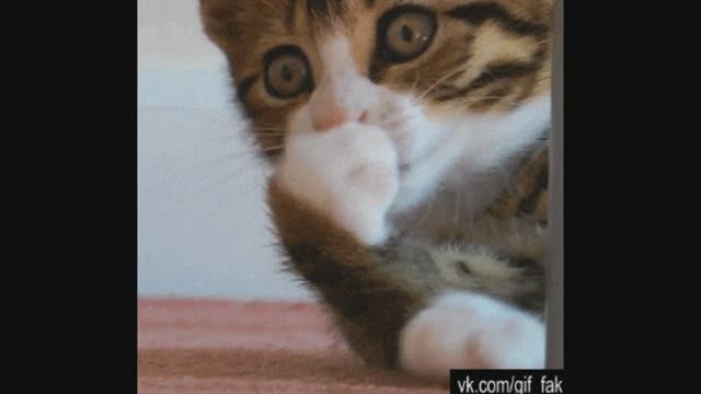 Space_Souvenir_From_Rio