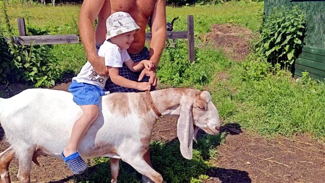САМЫЕ БЛАГОДАРНЫЕ ТУРИСТЫ НА НАШЕЙ УСАДЬБЕ!