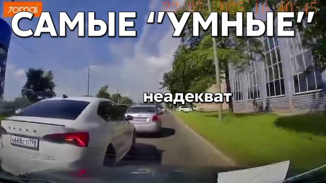 Подборка САМЫХ "УМНЫХ" водителей #1162