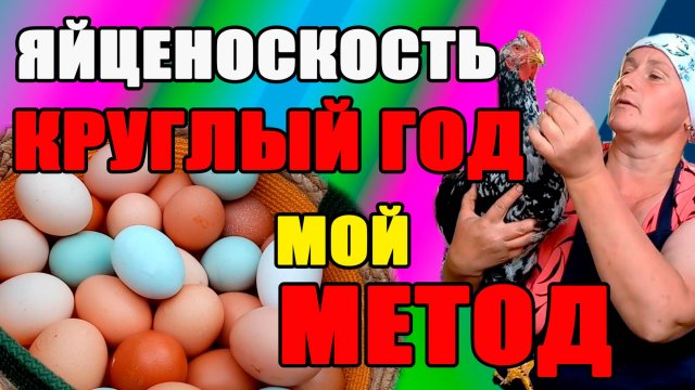 Яйценоскость КРУГЛЫЙ ГОД, мой МЕТОД,