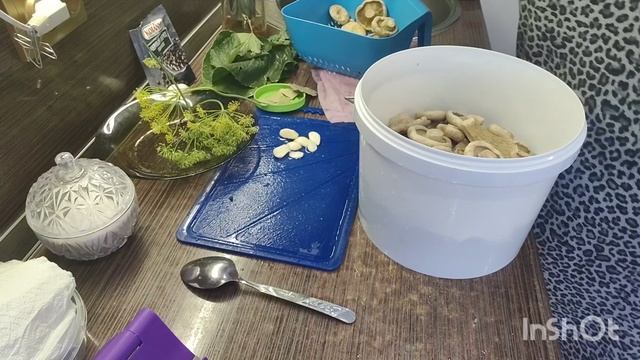 Собираются в дорогу) Дочь печёт, фарширует блины) Солю ГРУЗДИ)