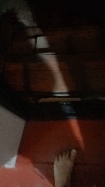 Я вижу тебя