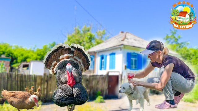 🟢РАДИ ТАКОЙ ЖИЗНИ УЕХАЛИ ИЗ ГОРОДА В ДЕРЕВНЮ, расширяем хозяйство.