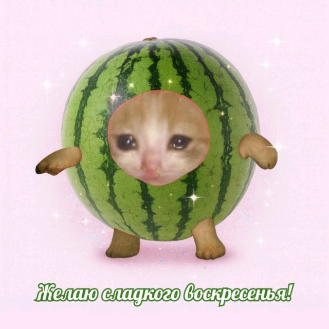 Яна