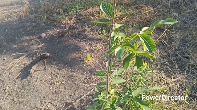 🏡 03.08.25г Воскресенье. Один день со мной. Домашние хлопоты.