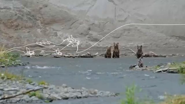 Камчатка