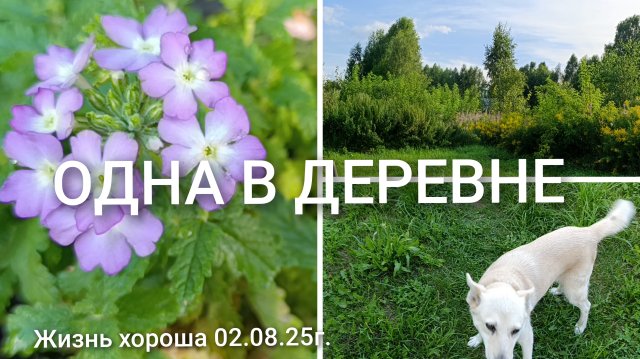 ОДНА В ДЕРЕВНЕ _ ЖИЗНЬ В ДЕРЕВНЕ _ ЖИЗНЬ ХОРОША 02.08.25г