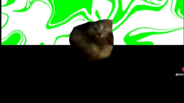 Соня