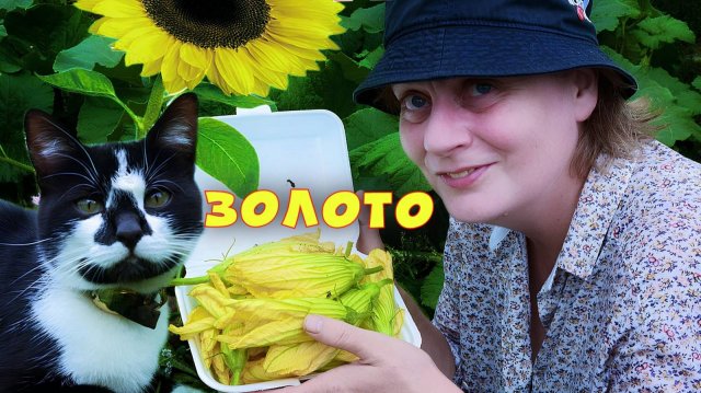 Цветки Тыквы, ЧУДО-ЕЖЕВИКА, Перец, подсолнух