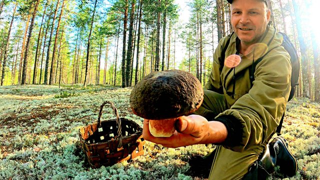 Грибник зашел в МОХ и обалдел такого НЕ ОЖИДАЛ! Грибы и лес сказочная Карелия