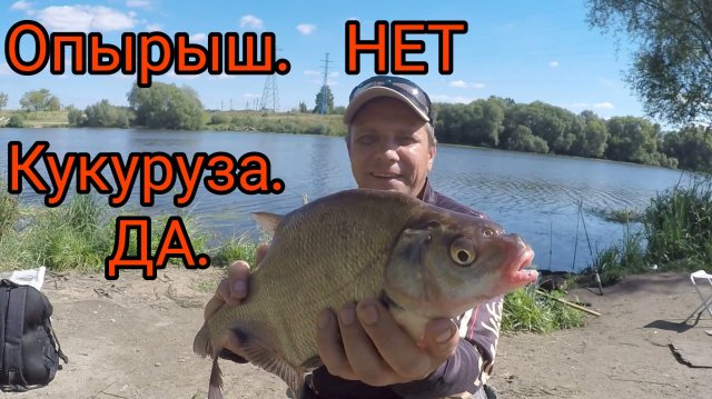 На что КЛЮЁТ КРУПНЫЙ ЛЕЩ в АВГУСТЕ. КАК НАЛОВИТЬ КРУПНЫХ ЛЕЩЕЙ.