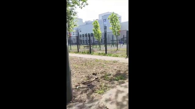 Студия 24м2. Ибрагимова 35 к2. м. Семёновская м. Преображенская площадь м. Измайлово