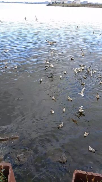 Вечно голодающие
