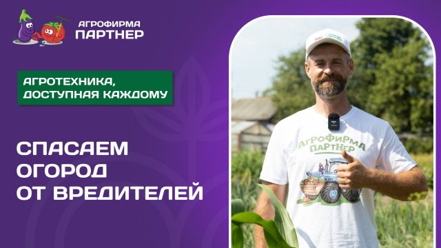 СЕКРЕТЫ БОРЬБЫ С ВРЕДИТЕЛЯМИ // Просто и эффектно
