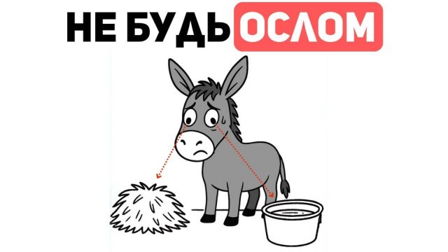 15 удивительных ПРАВИЛ для построения богатства и принятия мудрых решений