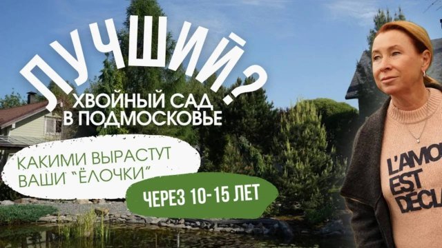 Как ПОСАДИТЬ ХВОЙНЫЕ, чтобы было КРАСИВО?! ЛУЧШИЙ хвойный сад Подмосковья