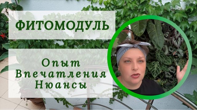 ФИТО МОДУЛЬ. Опыт, впечатления, нюансы.