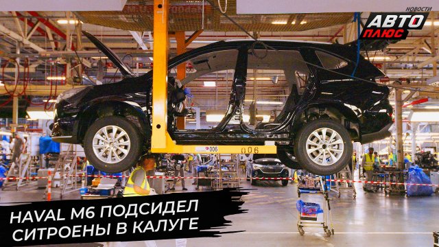 Haval M6 подсидел Ситроены в Калуге 📺 Новости с колёс №3384