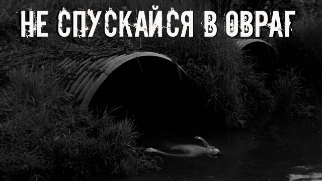 Не спускайся в овраг! Страшные истории на ночь. Страшилки на ночь. Жуткие истории. Ужасы.