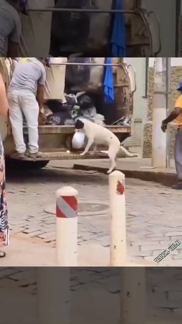Умный домашний помощник