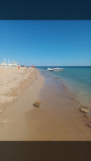 🌊🌊🌊