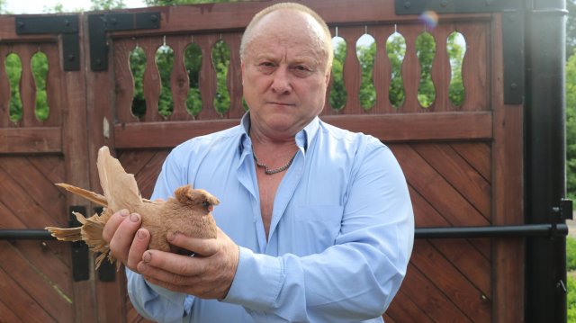 Узбекские двухчубые голуби Мастникова Евгения.