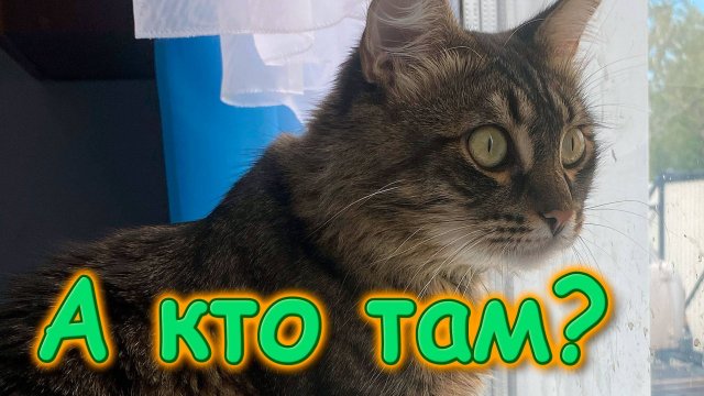 Таня мне дала айфон для съемок. Встречайте получше качество. В городе с Сашей. (08.25г.) Бровченко