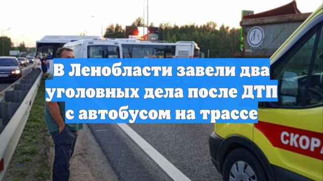 В Ленобласти завели два уголовных дела после ДТП с автобусом на трассе