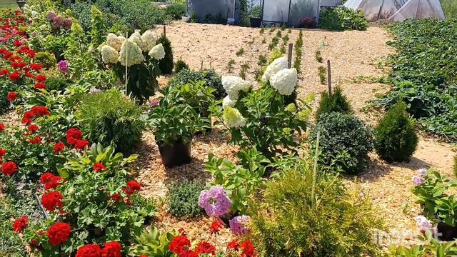 Сельские будни матушки.Работаем у храма.Записки в Дивеево 🙏