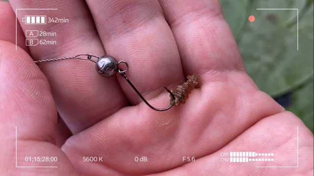 Поймай, если сможешь! Воскресный движ на реке