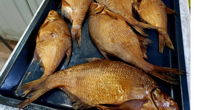 Рыба горячего копчения – как вкусно приготовить по-простому